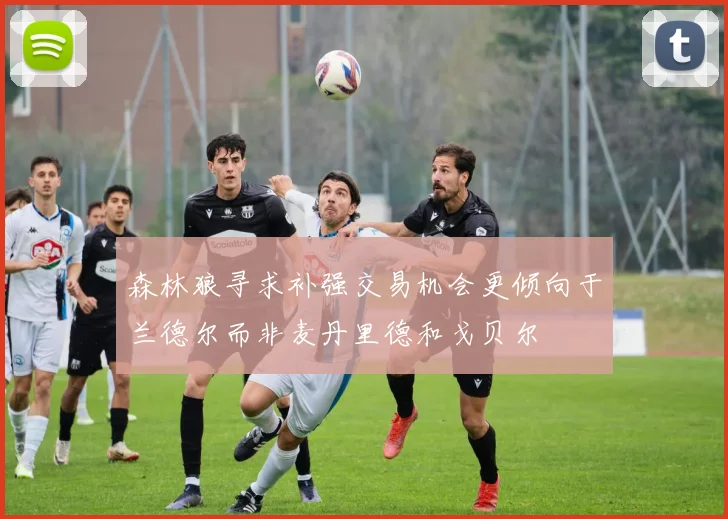 森林狼寻求补强交易机会更倾向于兰德尔而非麦丹里德和戈贝尔